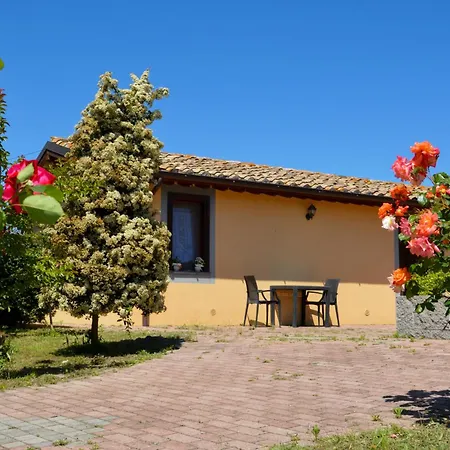 Podere La Damesca - Agriturismo "La Fraschetta"-2